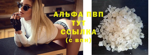 ПСИЛОЦИБИНОВЫЕ ГРИБЫ Медногорск