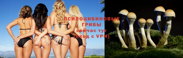 ПСИЛОЦИБИНОВЫЕ ГРИБЫ Медногорск