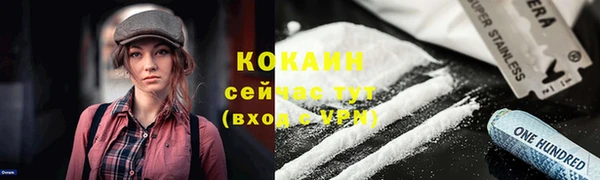 мяу мяу мука Мегион