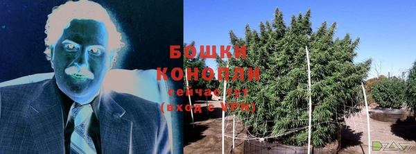 прущие крисы Медвежьегорск